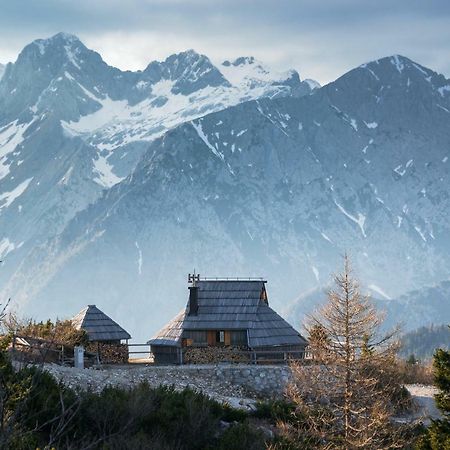 Villa Koca Ojstrica - Velika Planina à Stahovica Extérieur photo