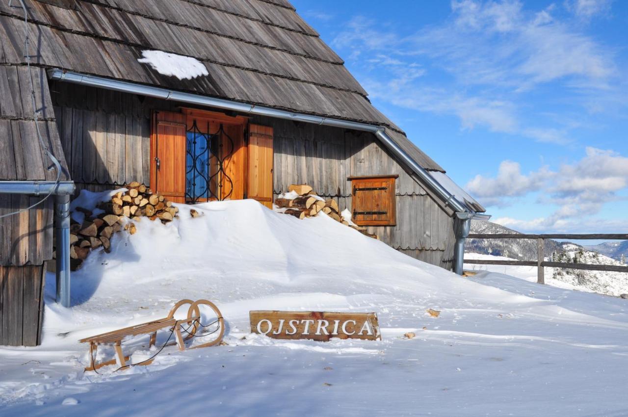 Villa Koca Ojstrica - Velika Planina à Stahovica Extérieur photo