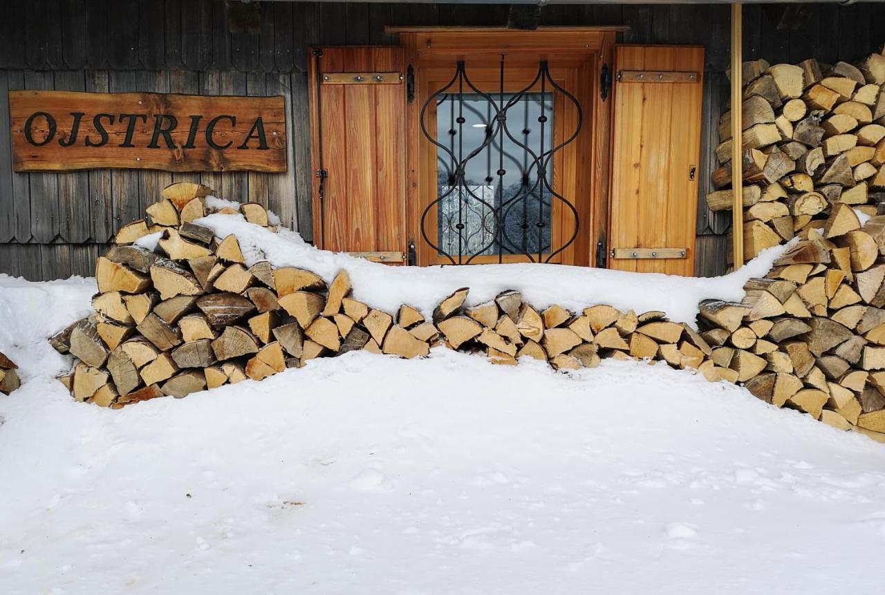 Villa Koca Ojstrica - Velika Planina à Stahovica Extérieur photo