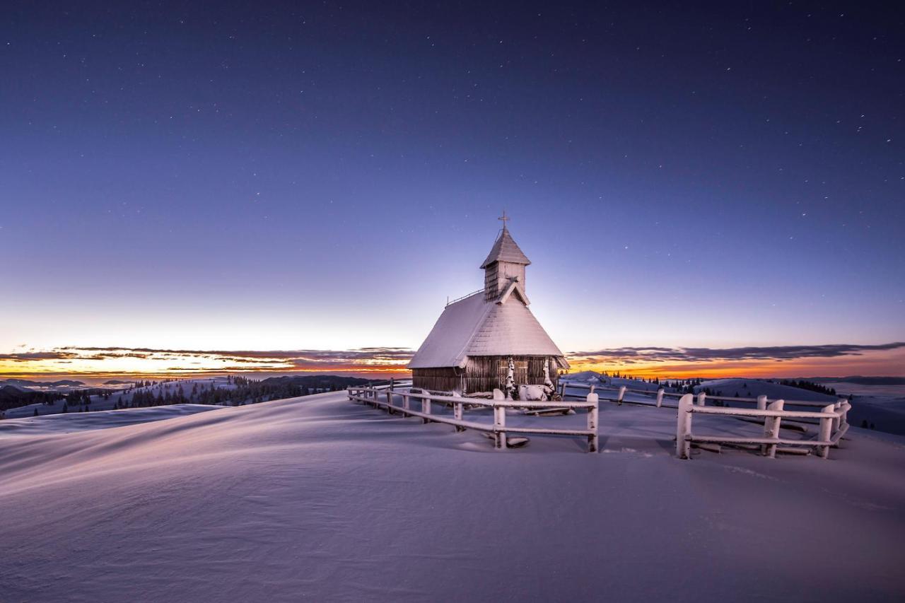 Villa Koca Ojstrica - Velika Planina à Stahovica Extérieur photo