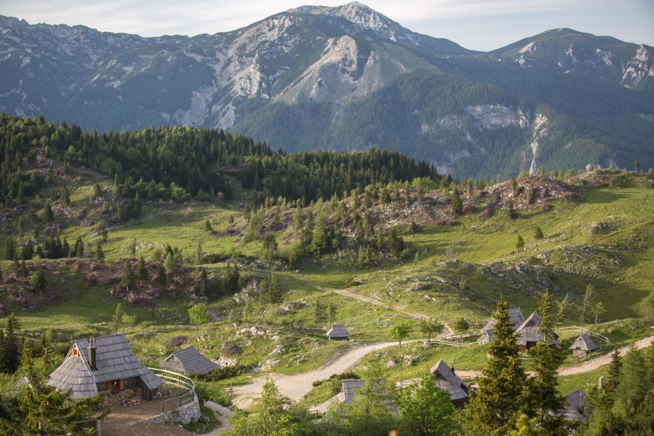 Villa Koca Ojstrica - Velika Planina à Stahovica Extérieur photo