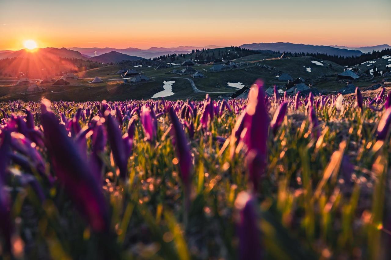 Villa Koca Ojstrica - Velika Planina à Stahovica Extérieur photo