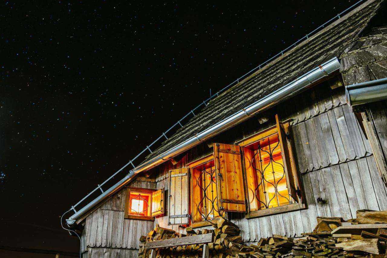 Villa Koca Ojstrica - Velika Planina à Stahovica Extérieur photo