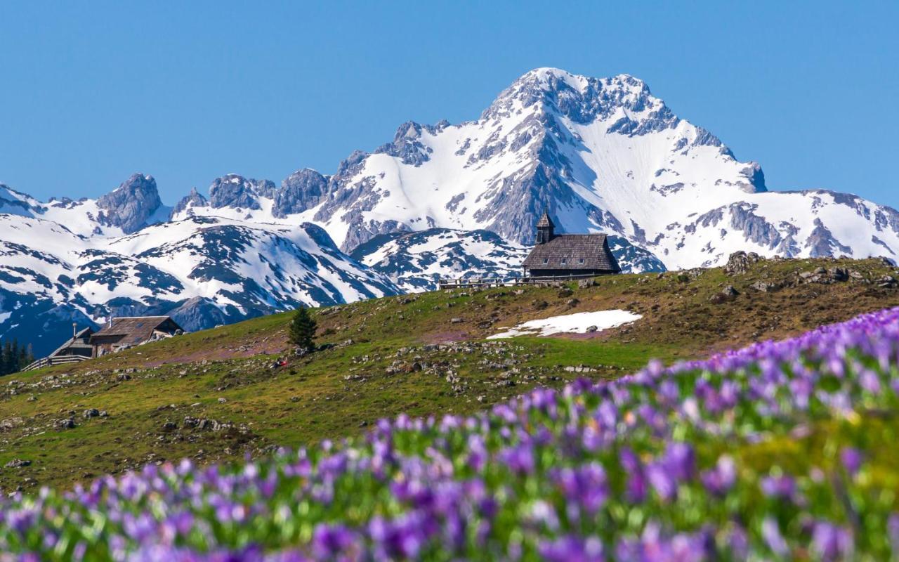 Villa Koca Ojstrica - Velika Planina à Stahovica Extérieur photo